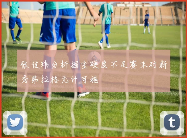 张佳玮分析掘金硬度不足赛末对新秀弗拉格无计可施
