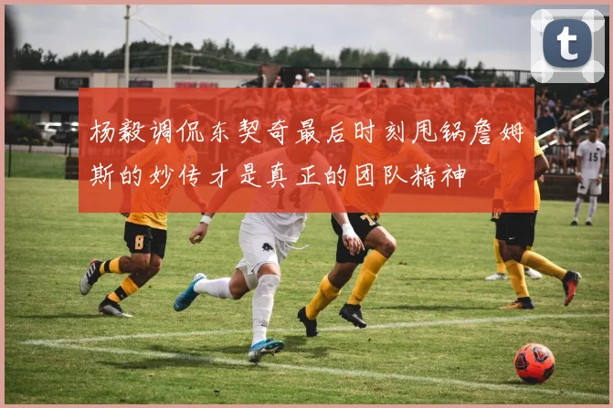 杨毅调侃东契奇最后时刻甩锅詹姆斯的妙传才是真正的团队精神