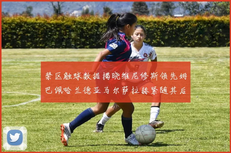 禁区触球数据揭晓维尼修斯领先姆巴佩哈兰德亚马尔萨拉赫紧随其后